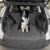 1Piezas Protector de Maletero para Cupra TAVASCAN AB 2024, Funda Impermeable Alfombrilla Resistente Cubierta Antideslizante Protector Perros Coche Duradero,Black