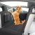 TTCR-II Compatible con Tesla Model 3 Y S Funda de Asiento Coche Mascotas 2018-2023 Funda de Asiento Impermeable para Perros Model 3 Y Funda de Asiento Trasero para Mascotas Ventana de Malla Visible | Funda de Asiento Impermeable para Perros Model 3 Y S 2018-2023 Funde de Asientos Trasero para Mascotas Ventana Malla Visible